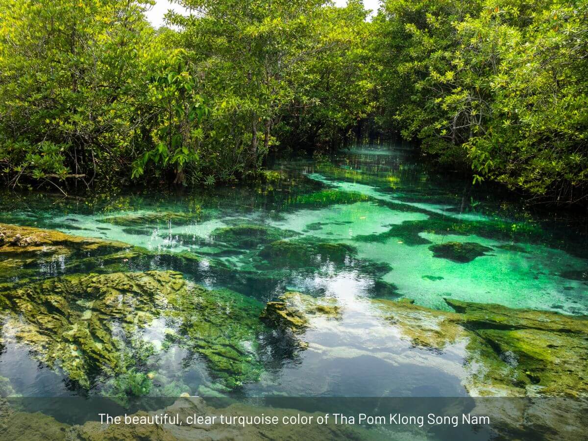 Following the Giants and Kayaking Krabi - Image 12