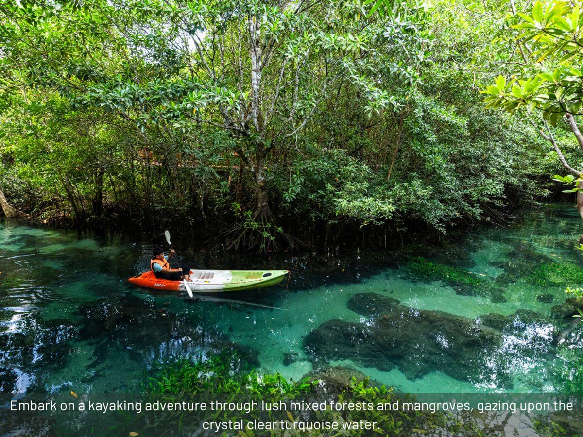 Following the Giants and Kayaking Krabi - Image 14