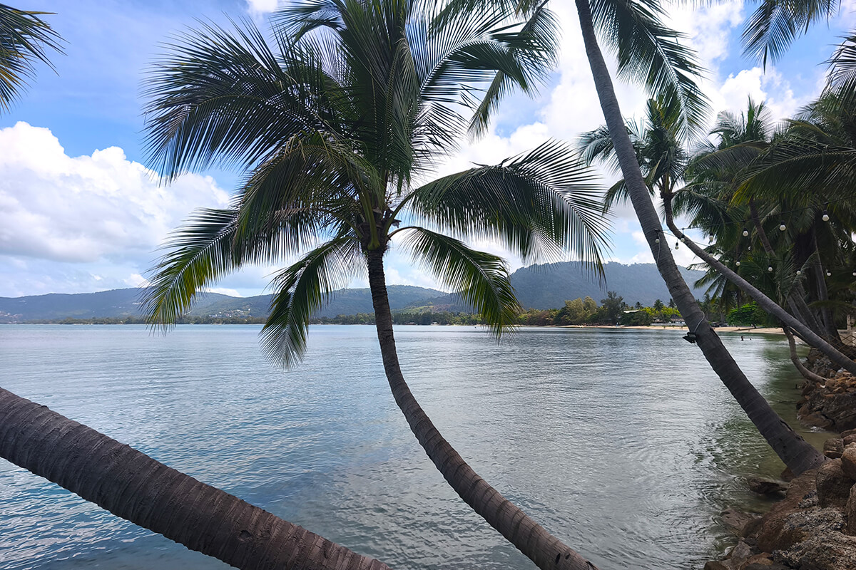 Tranquil Waters and Palm Trees at Lipa Noi Beach