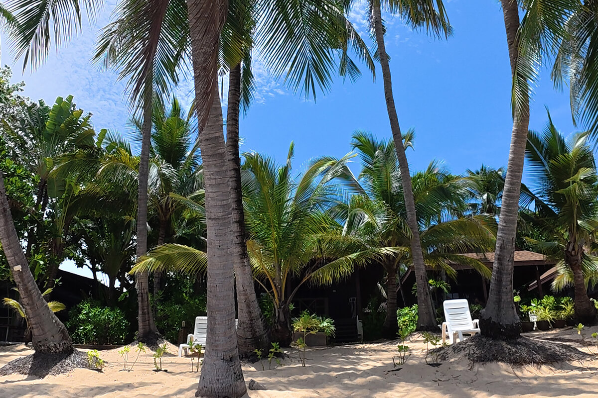 Beachfront Bungalows and Coconut Palms at Maenam Beach
