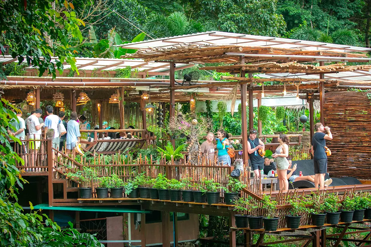 Tree Bridge Zipline Koh Samui - Image 12