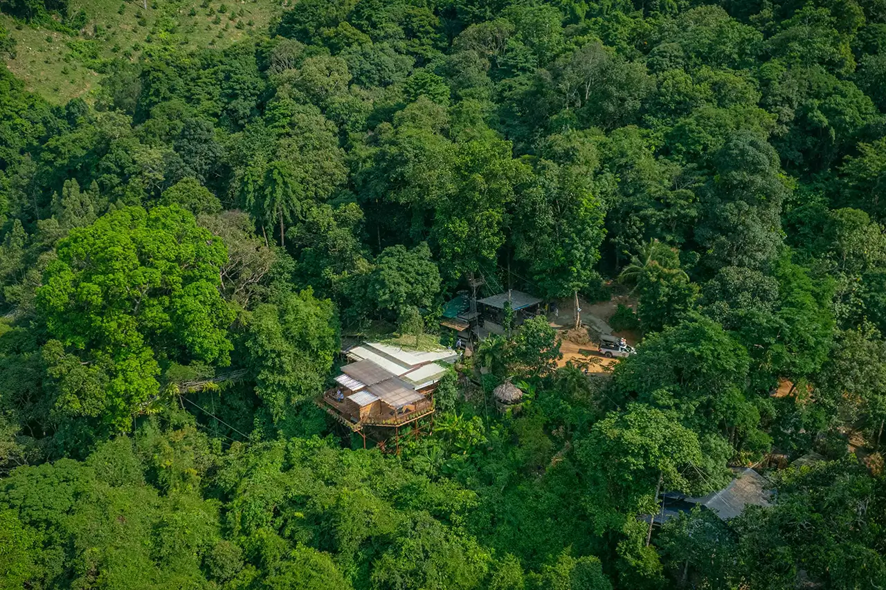 Tree Bridge Zipline Koh Samui - Image 13