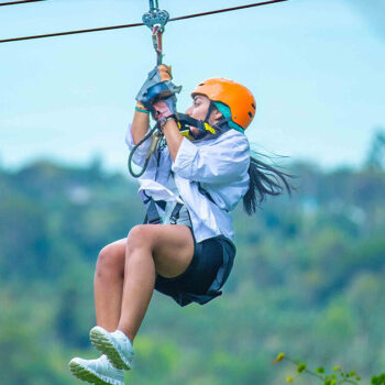 Tree Bridge Tour Zipline