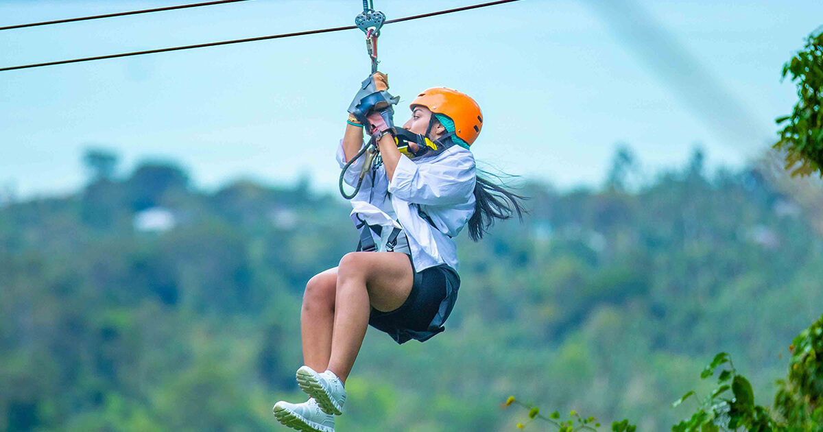 Tree Bridge Tour Zipline