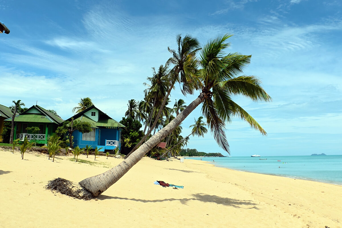 Distinctive leaning coconut palm tree on golden sand in front of colourful beach bungalows at Maenam Beach