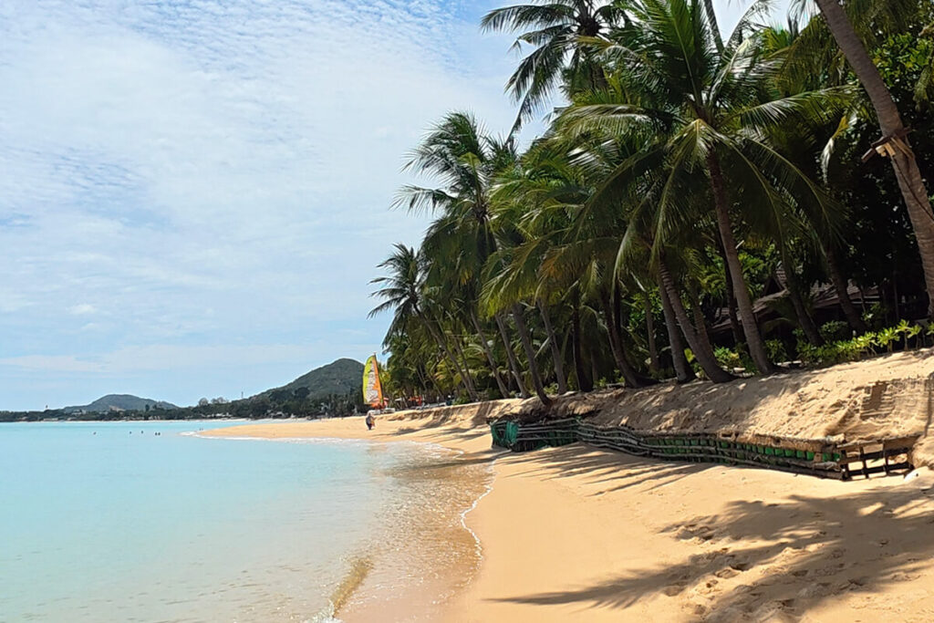 Expansive curve of golden sand lined with tall palm trees and clear blue waters at Maenam Beach Koh Samui