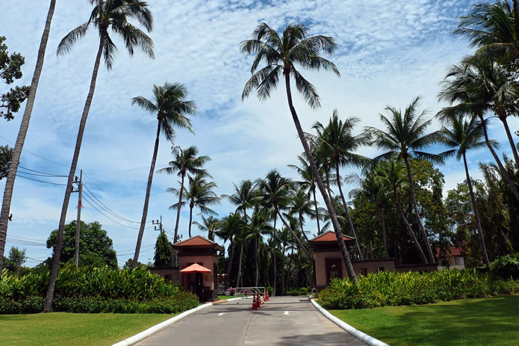 Tree-lined entrance driveway flanked by towering coconut palms at Santiburi Koh Samui luxury resort