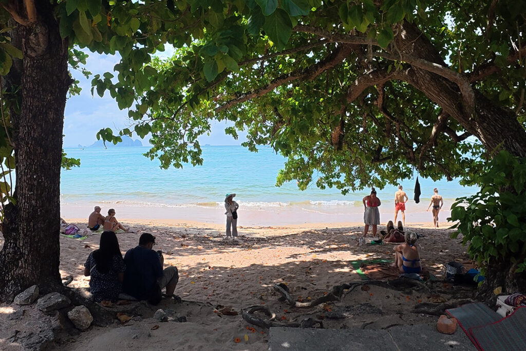 Shaded sandy beach under tropical trees with beachgoers looking out at the Andaman Sea near The Last Fisherman Bar in Ao Nang, Krabi